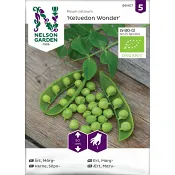 Ärt Märg-Kelwedon Wonder Org. Nelson Garden.