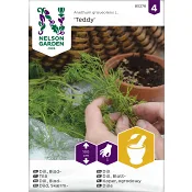 Dill, Blad-, Teddy Nelson Garden.