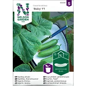 Gurka, Kruk-, Baby F1 Nelson Garden.