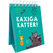 Kaxiga katter.