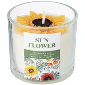 Ljuslykta Solros ICA.