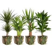 Arrangemang grönmix påse.