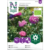Aster, Dubbel, mix, Organic.