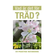 Vad är det för träd?.