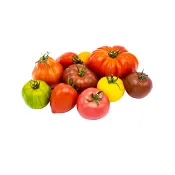 Gourmetmixtomater ca 100g Klass 1.