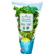 Persilja vertikalodlad 1-p Klass 1 ICA.