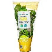 Citronmeliss vertikalodlad 1-p Klass 1 ICA.