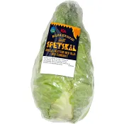 Spetskål ca 600g Klass 1 ICA.