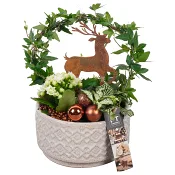 Arrangemang Jul Rustik 17cm.