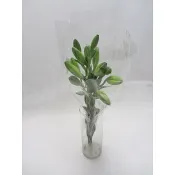 Asiatiska liljor 3-p 60cm gula.