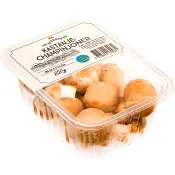 Kastanjechampinjon 250g Klass1 ICA.