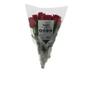 Rosor 10-p 35cm röda ICA.