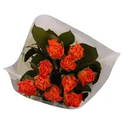 Rosor 10-p 40cm Fairtrade orange ICA.