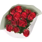 Rosor 12-p 50cm Fairtrade röda ICA.