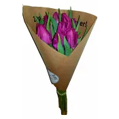 Papegojtulpan 10-p 35cm varierande färger.