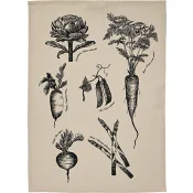 Kökshandduk Primörer 45x65cm ICA.