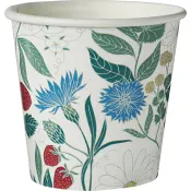 Mugg Flora 6cl 12-p ICA.