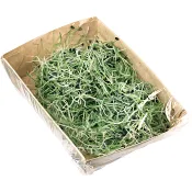 Vitlöksgroddar 50g Klass 1.