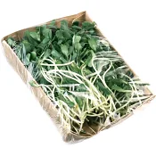 Solrosskott 100g Klass 1 Grönsaks Mästarna.