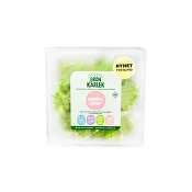 Nordic Crisp Blad Gröna 50g Klass 1.