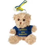 Examensnalle med tröja H15cm ICA.