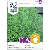 Mejram Nelson Garden.