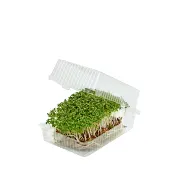 Krasse Smörgås EKO 8st Plastask Klass 1.