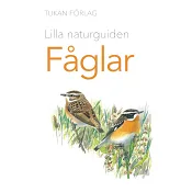 Lilla naturguiden: Fåglar.