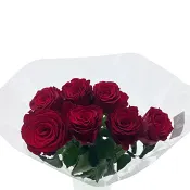 Rosor 7 pack röd 60 cm.