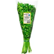 Bladpersilja Merpack 250g Klass 1 ICA.