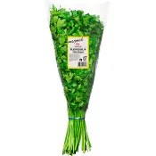 Bladpersilja Merpack 250g Klass 1 ICA.