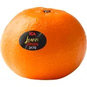 Clementin Leanri 4-pack Klass 1 ICA.