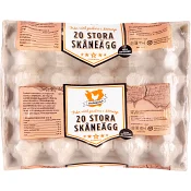 Skåneägg Frigående inne L 20-p Stjärnägg.
