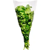 Koriander Bunt Klass 1 ICA.