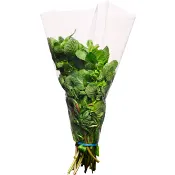 Mynta Bunt ca 100g Klass 1 ICA.