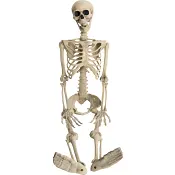 Skelett 90 cm Nordic Season.