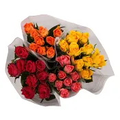 Rosor 9-p 50cm Röda Korset varierande färger Fairtrade ICA.