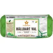 Ägg Frigående Inomhus Hållbart val 10-p Stjärnägg.