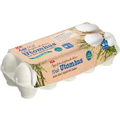 Gårdsägg M/L 10-p ICA.