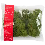 Mossa Grön Flamsäker 100g Festive.