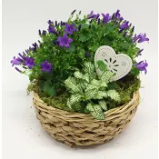 Arrangemang Korg Morsdag 22cm.