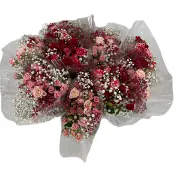 Kvistros m brudslöja.