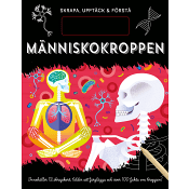 Skrapa, upptäck &amp; förstå. Människokroppen.