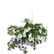 Ampel Hängpet. småbl trio 23 cm.