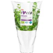 Oregano Ekologisk 1-p KRAV Klass 1 ICA I love eco.
