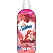 Sköljmedel Red Fruits and Jasmine 650ml Softlan.