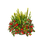 Ljung och Bärljung skål 23 cm.