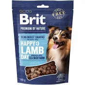 Hundsnacks Lamm med Havtorn 180g Brit Premium.