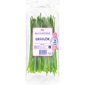 Gräslök Flowpack 20g Klass 1 ICA.