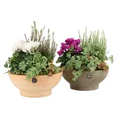 Arrangemang ute 22 cm.